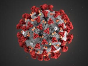 Coronavirus en RDC : 141 nouveaux cas confirmés, 900 personnes guéries