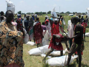WFP resumes direct delivery of food aid to S. Sudan from Kenyan border