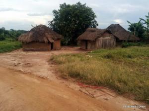 Village Luhanga (Nord-Kivu), vidé de ses habitants après une attaque des miliciens Maï-Maï, dimanche 27 novembre 2016. Ph. Radio Okapi/Rosalie Zawadi