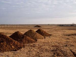 South Africa govt digs thousands of graves as Covid-19 cases rise