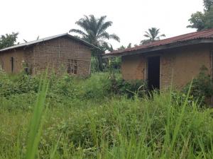 Depuis le début des massacres en octobre 2014 dans le territoire de Beni, des dizaines de maisons ont été abandonnées sur la route nationale 4. © RFI/Sonia Rolley