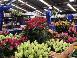 Tanzania keen to protect local goods in new deal trade pact with Britain